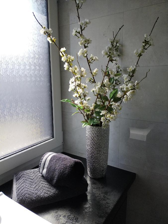 لوبين Apartament - Come In المظهر الخارجي الصورة
